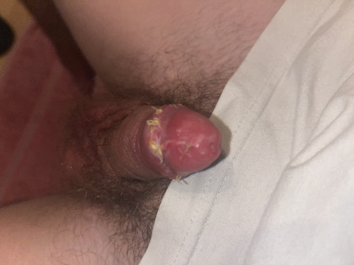 IMG 0438