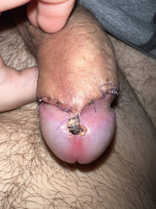 IMG 7013