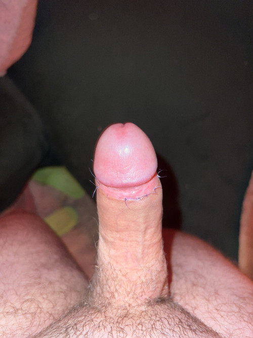 IMG 7131