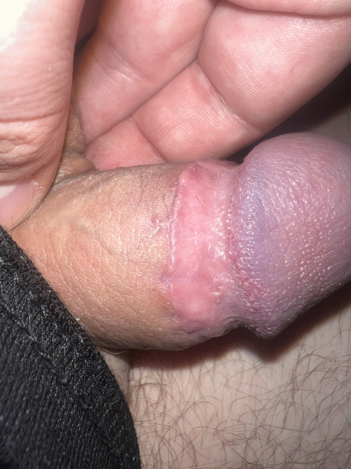 IMG 7594