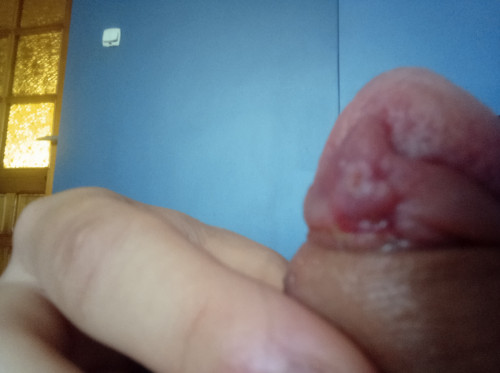 IMG 20240731 101420