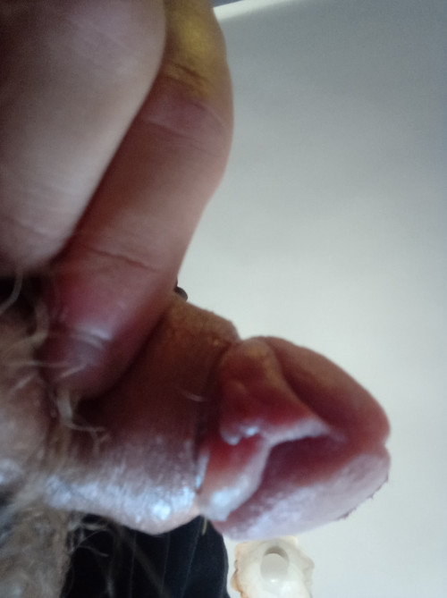 IMG 20240731 101559