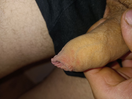 IMG 20240801 052238