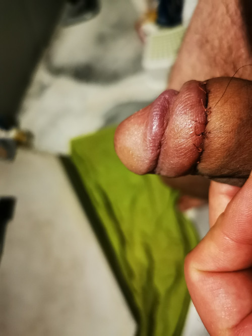 IMG 20240919 185454