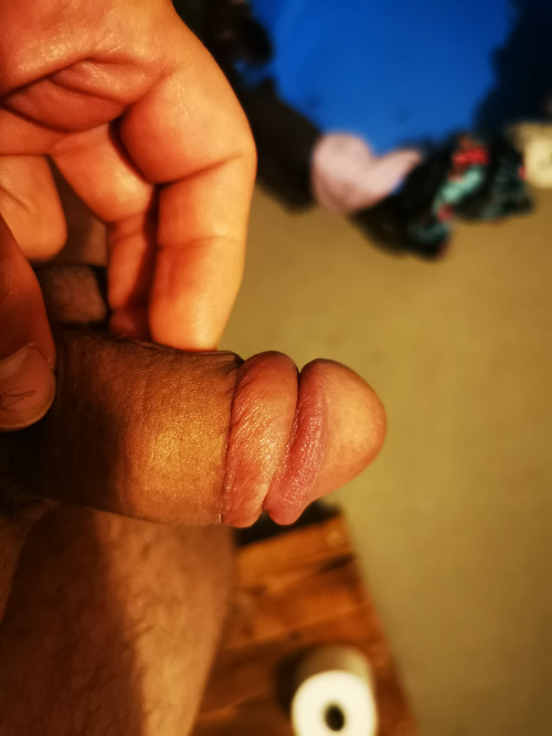IMG 20241005 053829