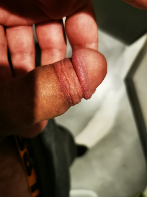 IMG 20241015 123533