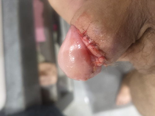 IMG 20241020 190631 585