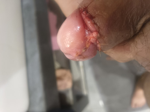 IMG 20241020 190633 978