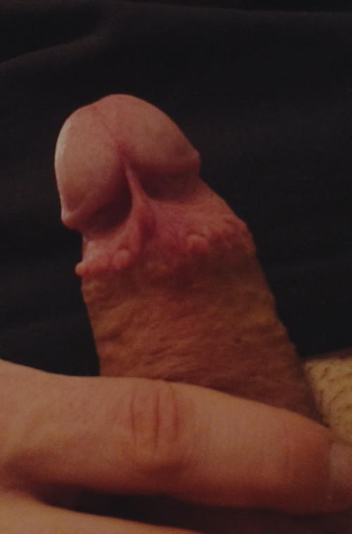 IMG 20241023 185239