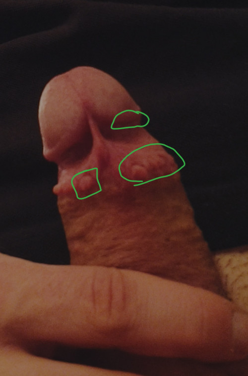 IMG 20241023 200646