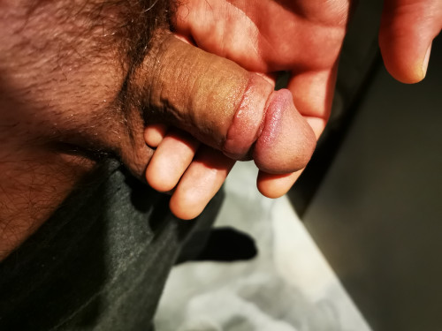 IMG 20241102 072804