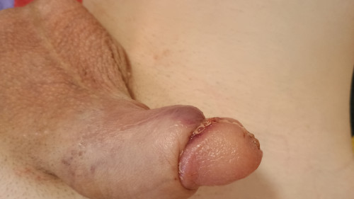 IMG 20241203 100346907