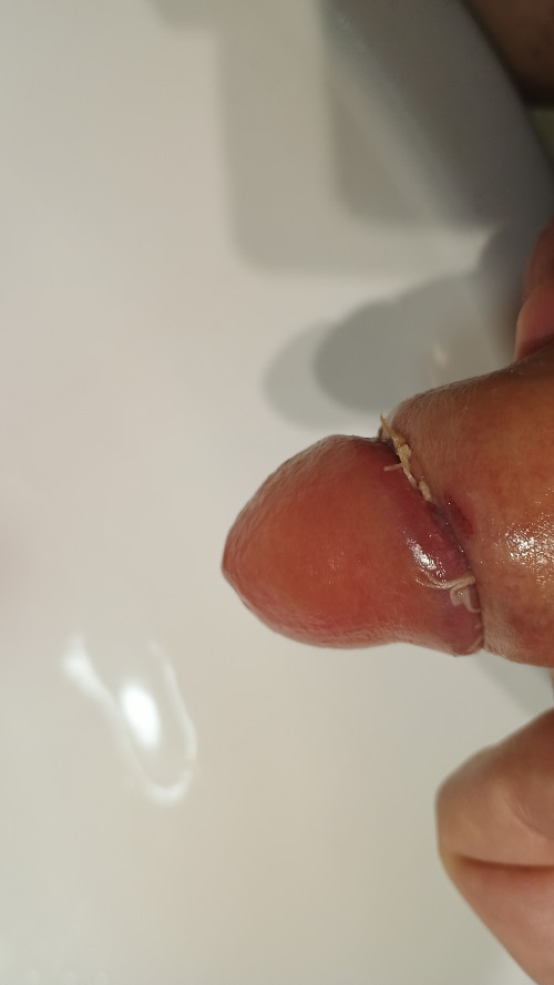 IMG 20241204 111156111