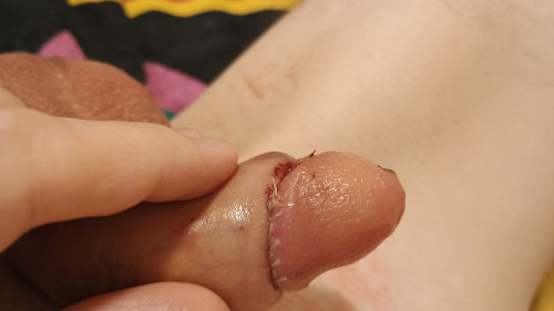 IMG 20241204 111330307