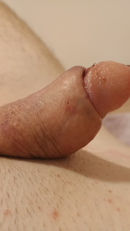 IMG 20241204 111400368