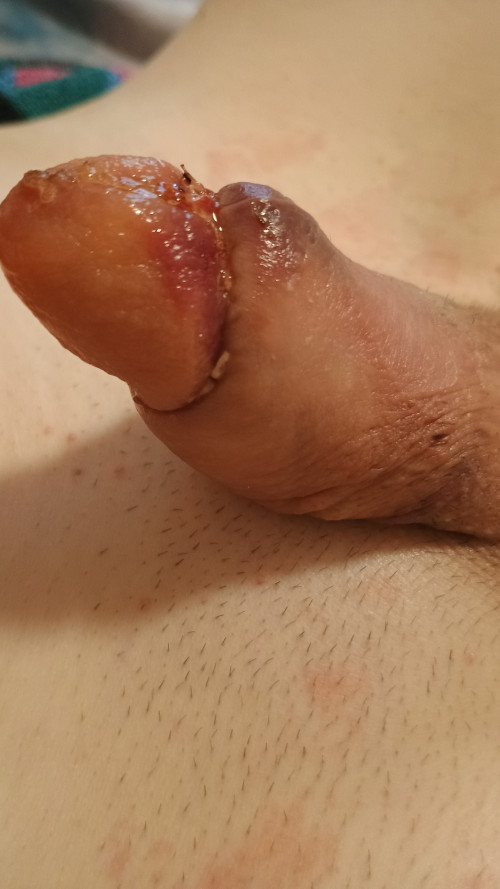 IMG 20241204 111418687