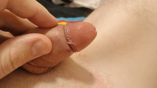 IMG 20241204 111536081
