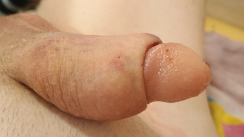 IMG 20241204 112333046