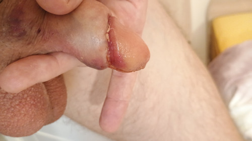 IMG 20241204 112510743