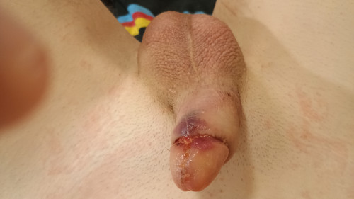 IMG 20241204 112616640