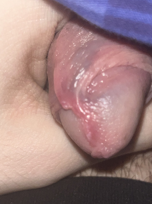 IMG_1333.jpg