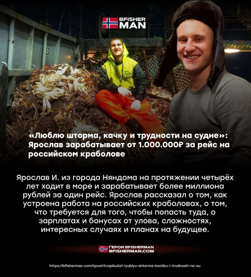bfishg_817420.jpg
