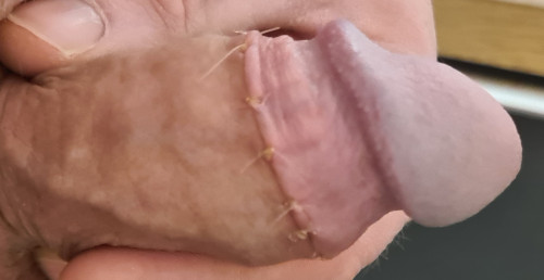 20250206 164627