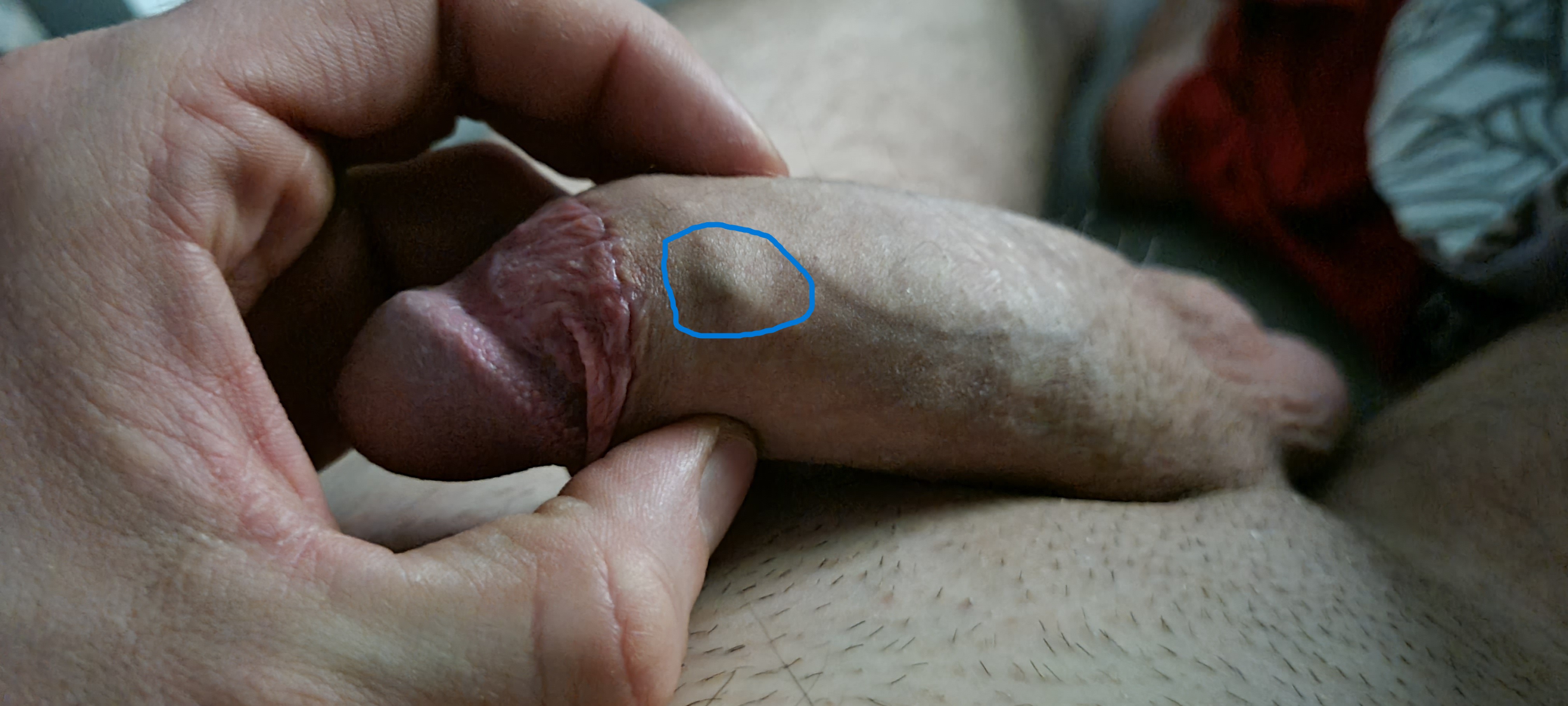 imagehost.pl