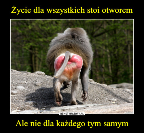 swiat-stoi-otworem.jpg