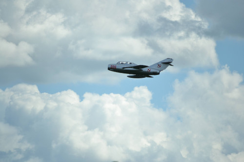 DSC_3328.jpg