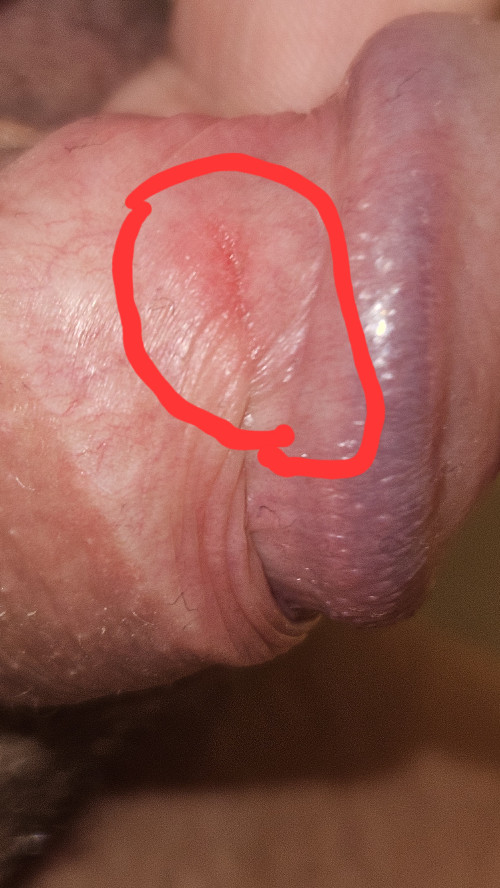 20250510 222658