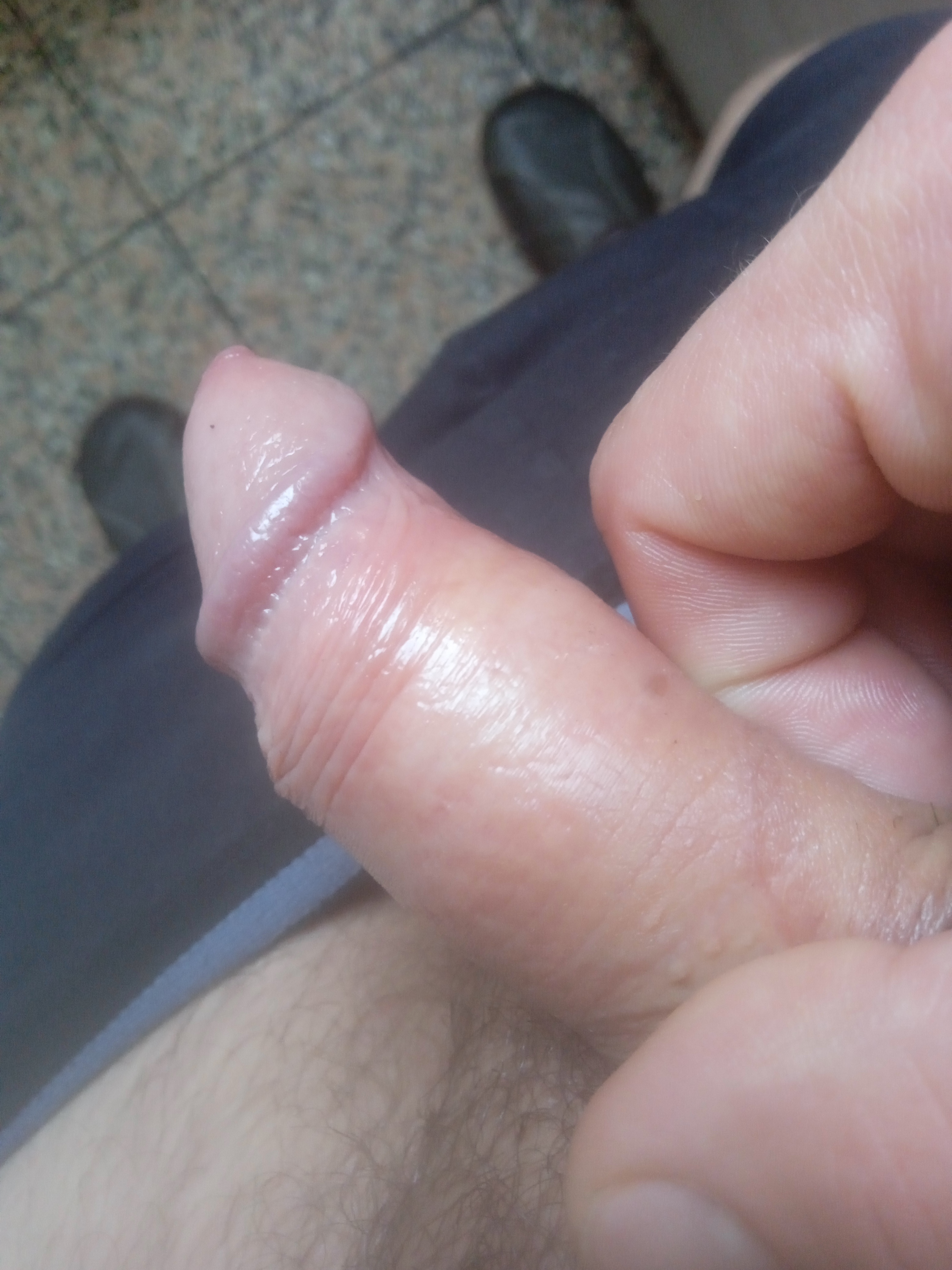 imagehost.pl