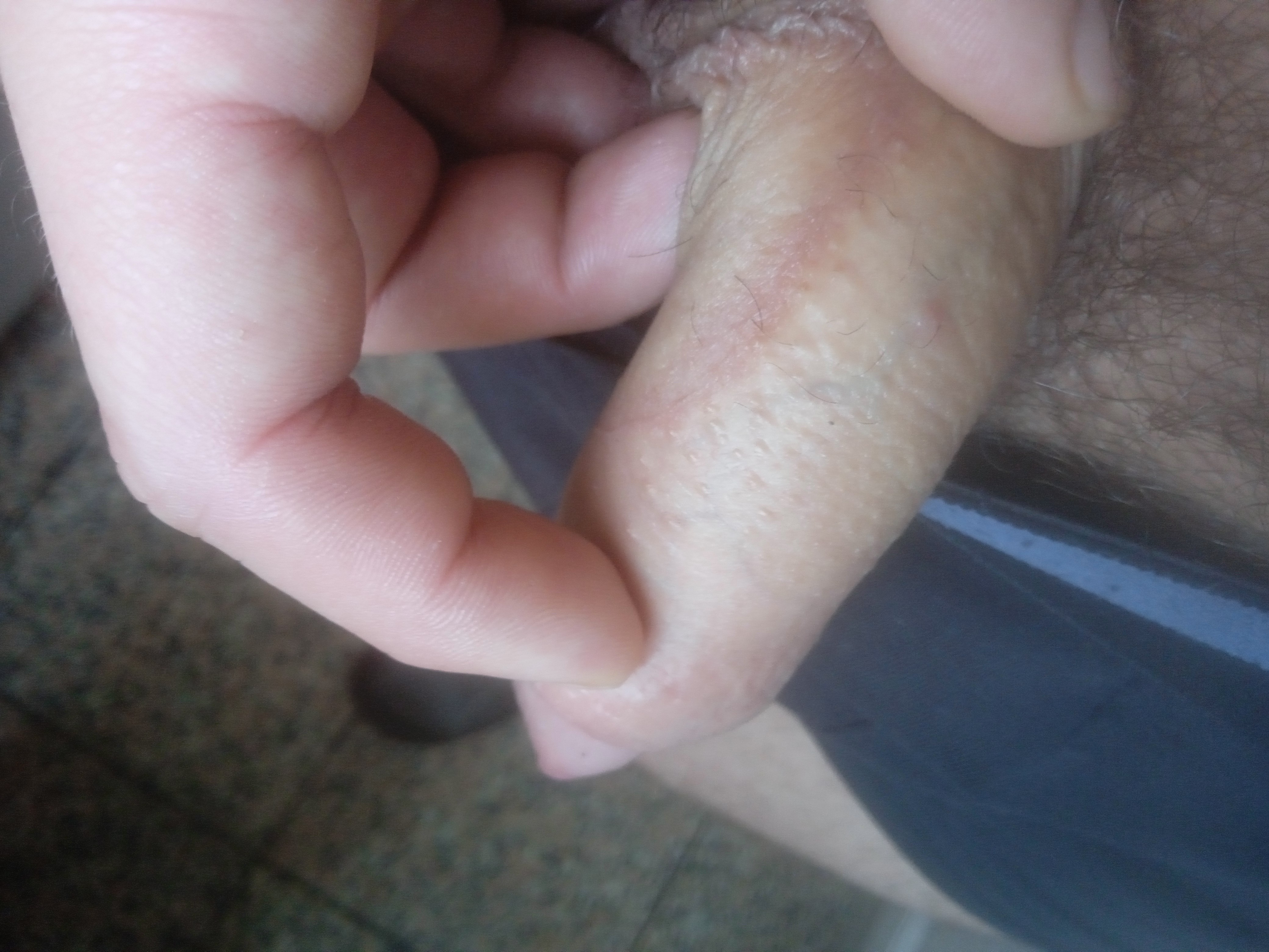 imagehost.pl