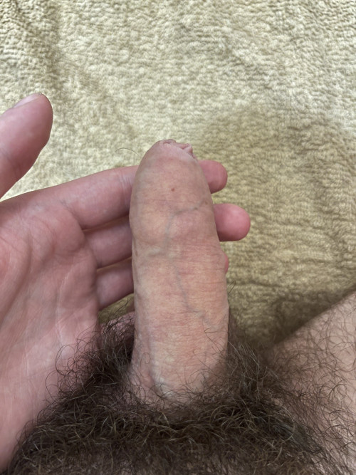 IMG 3879
