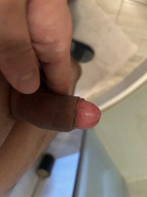 IMG 1250