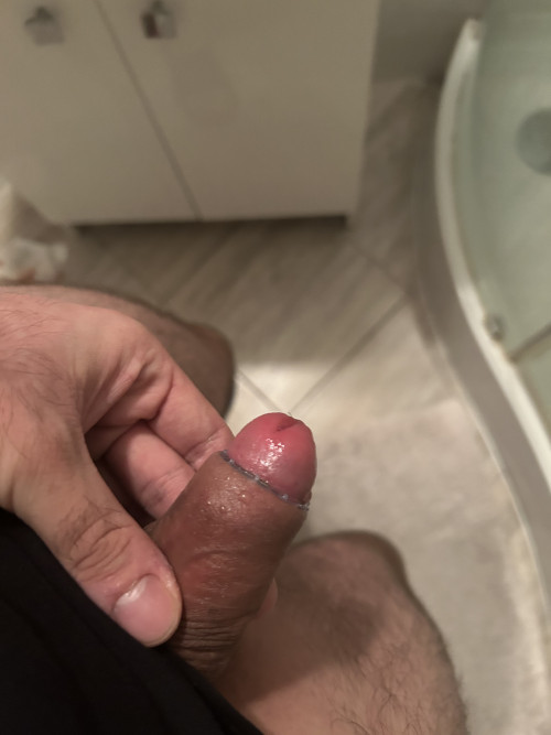 IMG 1256