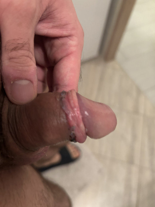 IMG 1338