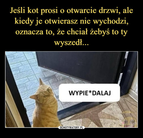 otwierasz-drzwi-kotu.jpg