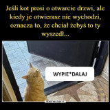 otwierasz-drzwi-kotu