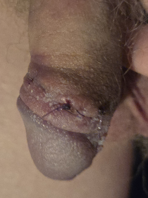 20260222_185553.jpg