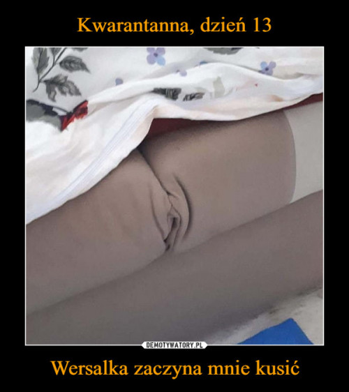wersalka.jpg