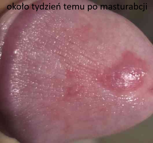 imagehost.pl