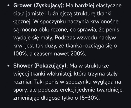 3203.jpg