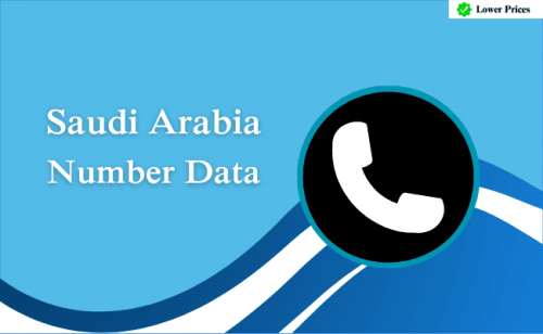 Saudi-Arabia-number-data.png