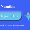 Namibia-telegram-data-100x100.png