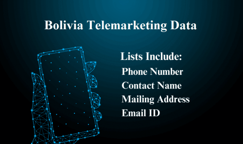 Bolivia-Telemarketing-Data.png