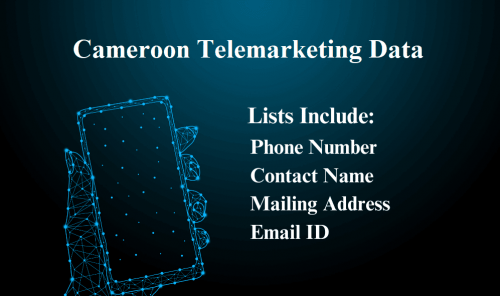 Cameroon-Telemarketing-Data.png