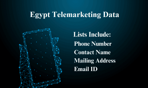 Egypt-Telemarketing-Data.png