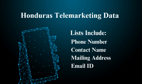 Honduras-Telemarketing-Data.png