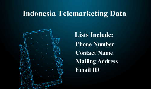 Indonesia-Telemarketing-Data.png